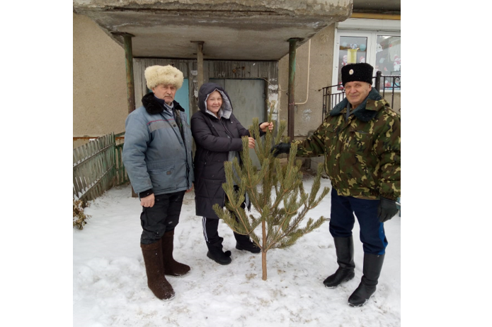 Казаки в селе Уйском Челябинской области дарят елки