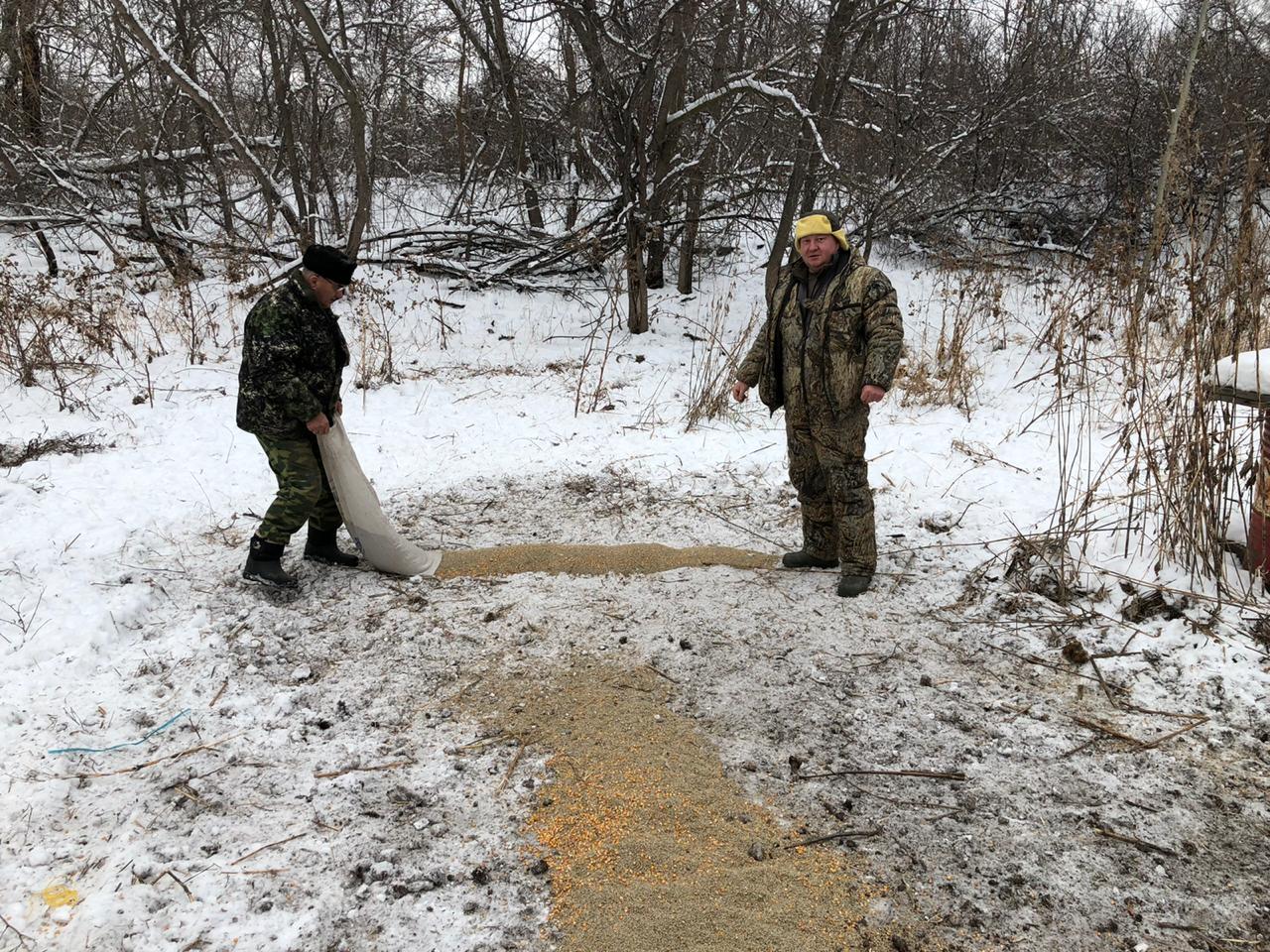 Казаки помогли перезимовать диким животным 