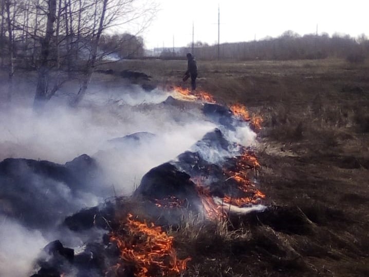 «Берегите лес!» – с таким призывом курганские казаки приступили к противопожарным мероприятиям в лесах региона