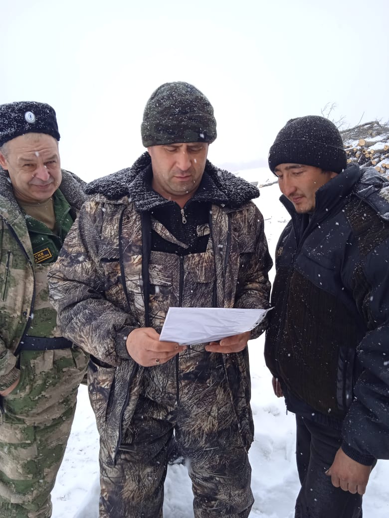 Ашинские казаки провели рейд по незаконной заготовке и перевозке древесины