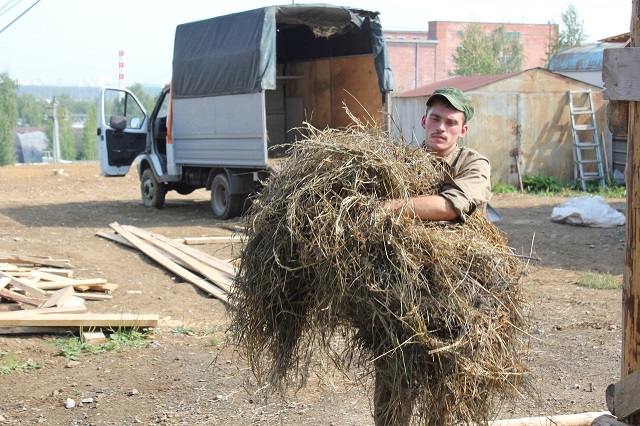 привоз лошадей 1.jpg